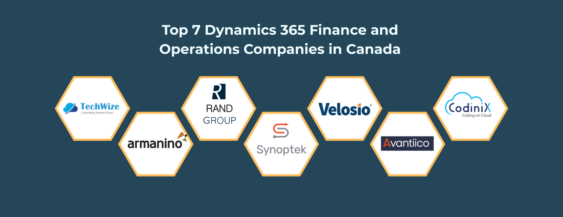 Dynamics 365 Finance and Operations Companies